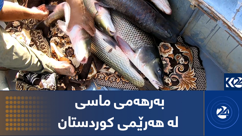 بەرهەمی ماسی لە هەرێمی کوردستان